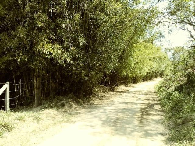 Sitio com nascente dentro e Rio - Foto 2