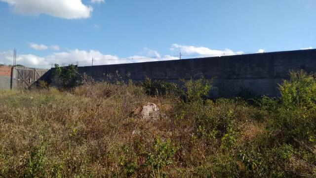 Terreno em Bezerros-PE, as margens da BR com poço artesiano - Foto 6