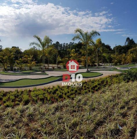 Terreno à venda, 800 m² por R$ 331.398 - Argentina - Criciúma/SC - Foto 9