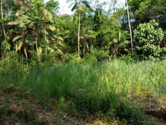 Área à venda, 22967 m² por r$ 210.000 - américa de baixo - morretes/pr - Foto 17