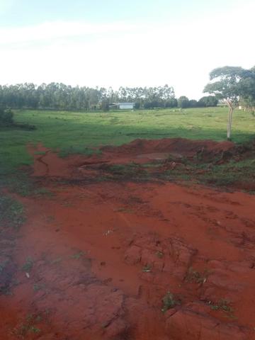 Fazenda em Nova Marilândia 206 alquers - Foto 10