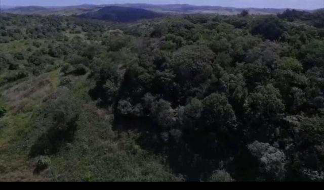 Lotes no Condomínio Alameda dos Ipês em Bonança - Moreno - 640m² cada cada - Foto 7