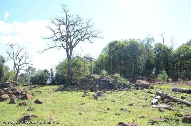 Sítio à venda, 45000 m² por r$ 897.000,00 - linha bonita - gramado/rs - Foto 4