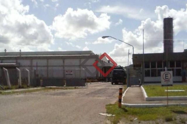 Galpão para alugar, 21887 m² - suape - ipojuca/pe - Foto 2