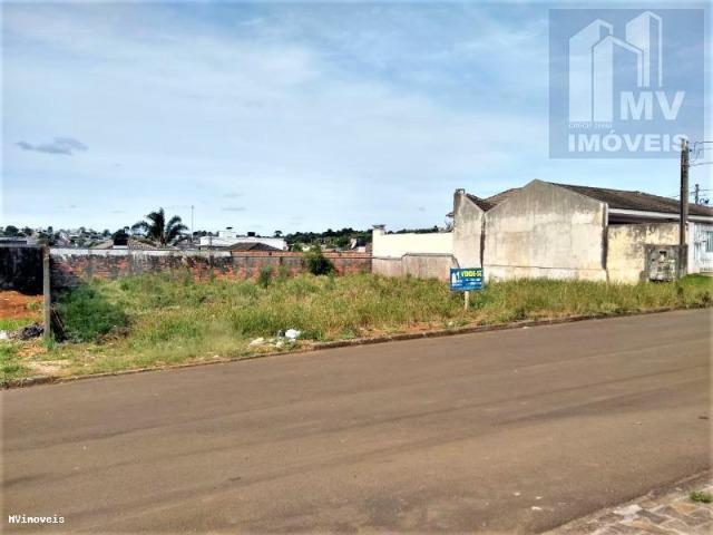 Terreno no Virmond 21,00 x 26,00 total de 546,00m² - Foto 2