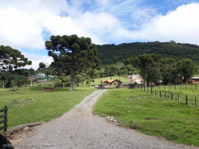 Sítio à venda, 4 m² por r$ 2.156.000 - serra grande - gramado/rs - Foto 3