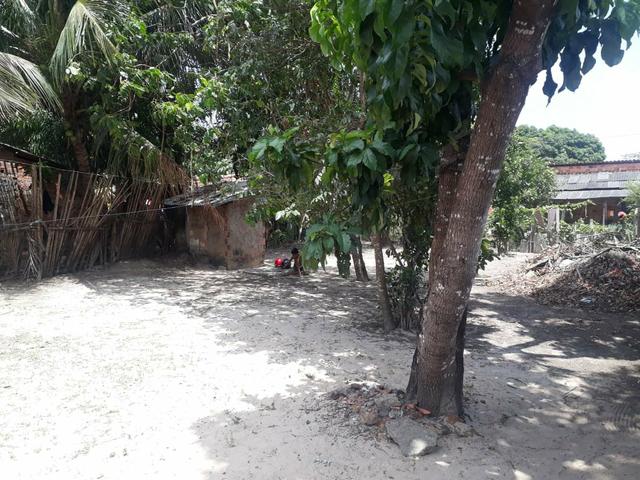 Terreno no são Raimundo - Foto 2
