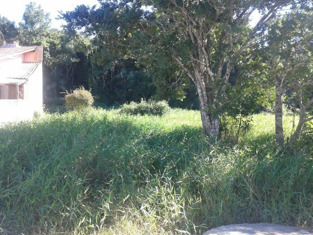 Terreno Itajuba - Foto 2