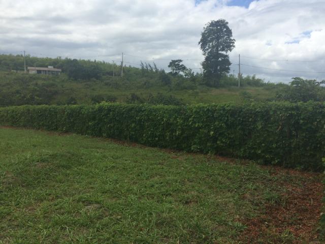Lotes no Condomínio Alameda dos Ipês em Bonança - Moreno - 640m² cada cada - Foto 3