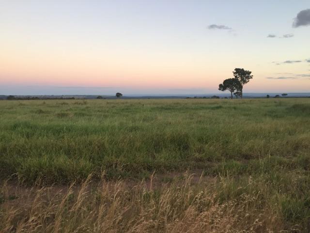 200 Alq. 100% Chapada p/ Lavoura em Alto Garças-MT