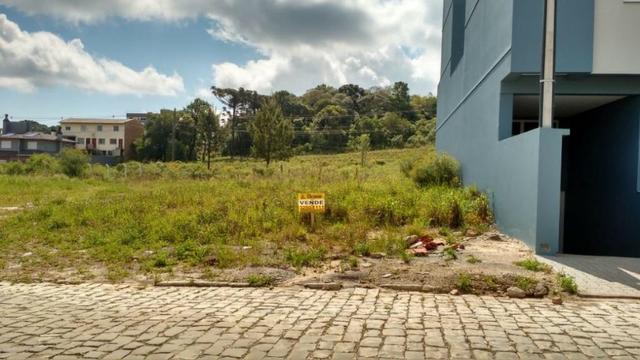 Terreno Bairro São Luis - Foto 2