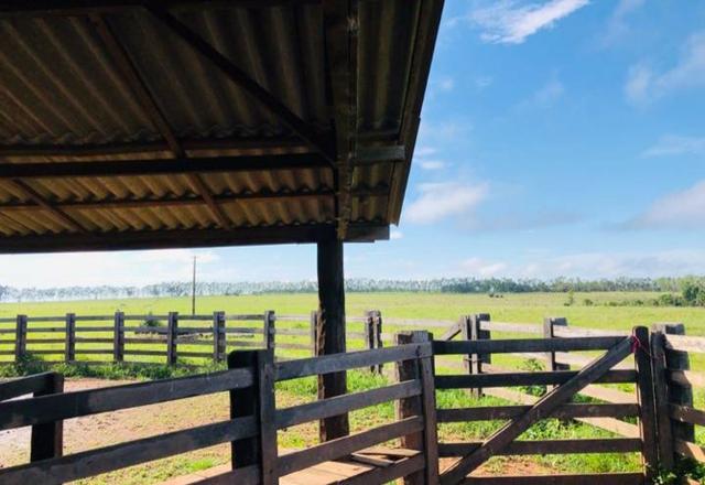 Fazenda em Nova Marilândia 206 alquers - Foto 2