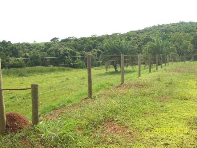 Chácara em Anicuns, 2 Alqueires e 37 Litros de Pura Beleza e Encantamento, Rica em Água - Foto 17