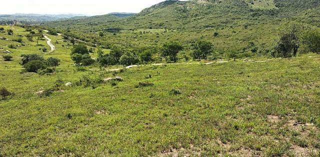 Vendo 64 h na PE 87 a 4 km do centro de Gravatá PE - Foto 11