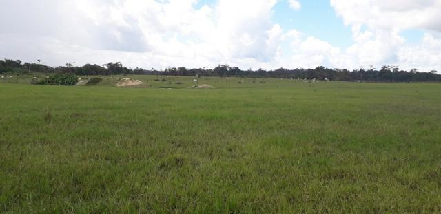 Fazenda bem estruturada - Foto 2