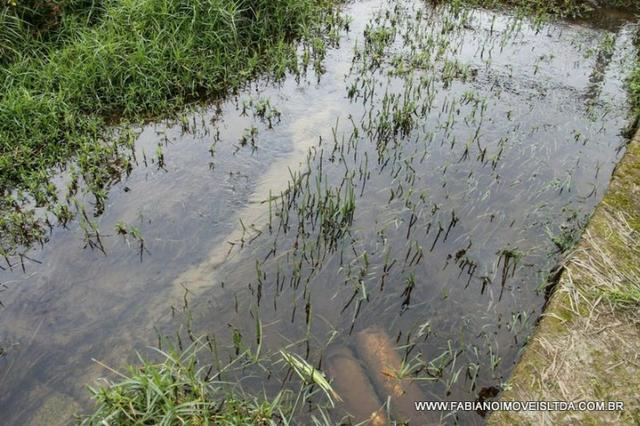 Sítio Águas Claras na Região do Alto Tietê em Biritiba Mirim - SP - Foto 9