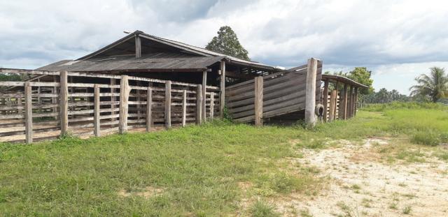 Fazenda bem estruturada - Foto 13