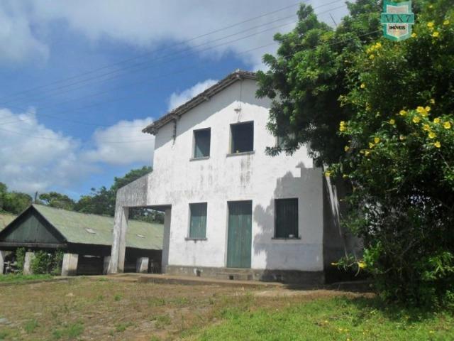 Ilhéus. Fazenda de 200 Hectares, produtora de cacau com toda infraestrutura. - Foto 3