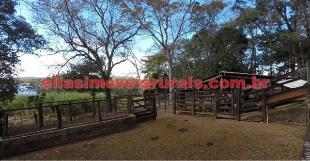 Fazenda margens represa Furnas - Corumbaíba GO - Foto 15