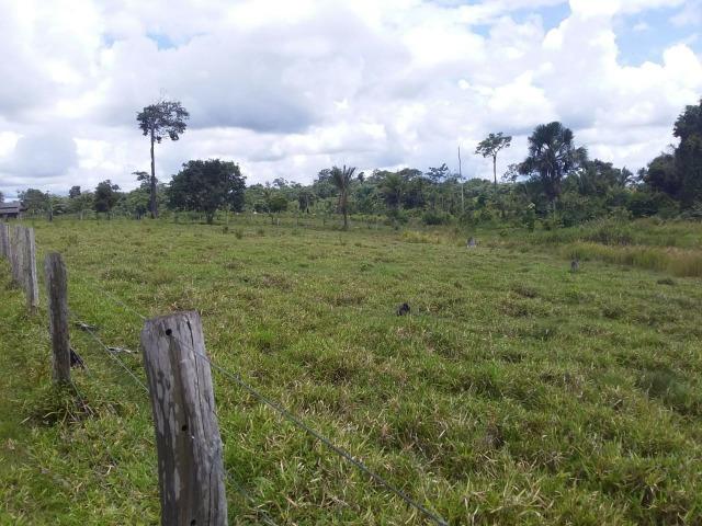 Colonia - Foto 6