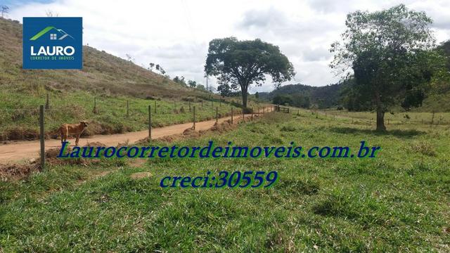 Fazenda com 29 Hectares à 28 km de Teófilo Otoni-MG. - Foto 16