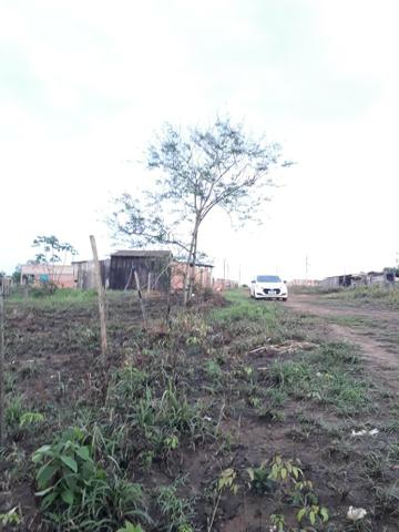 Terreno oportunidade - Foto 2