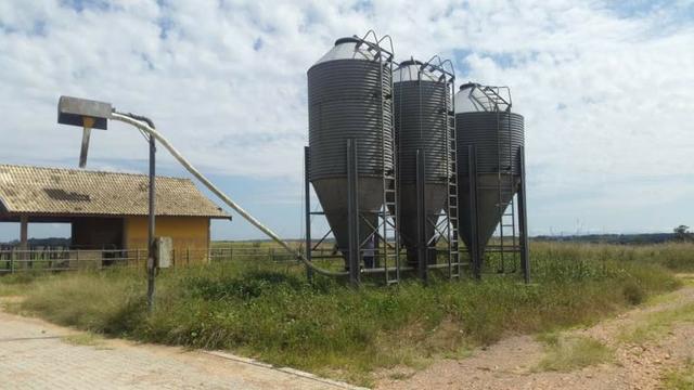 Silo Agromarau Para Ração de 14 Toneladas - #4754 - Foto 2