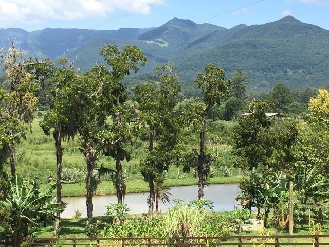 Sitio em Maquine - Foto 4