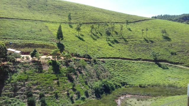 Fazenda em Minas Gerais - Foto 3