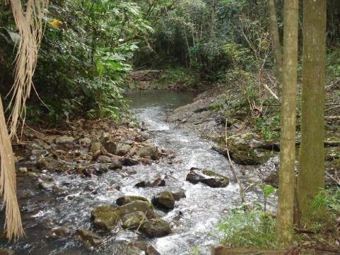Sitio em Maquine - Foto 6
