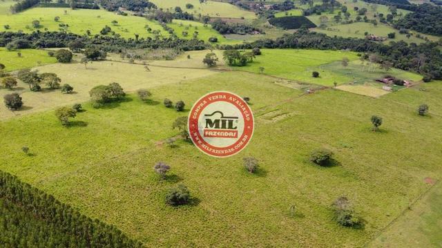 Fazenda de 15 alqueires a 37 km de Goiânia - Foto 19