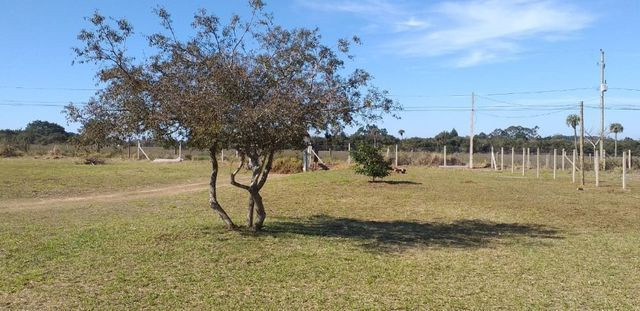 Velleda oferece casa 120m², 600 metros da RS-040, em 2000 m², ac. carro - Foto 19