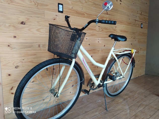 Bicicleta dalanio