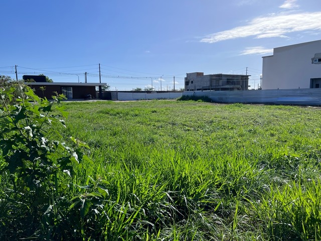 terreno noide cerqueira  irlena marquês 