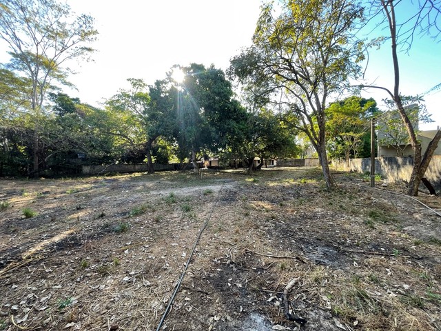 Terreno comercial na Av João XXIII  - Foto 5