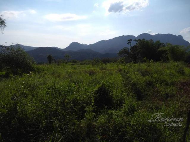 Área à venda, 22967 m² por r$ 210.000 - américa de baixo - morretes/pr - Foto 5