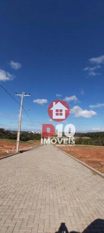 Terreno à venda, 800 m² por R$ 331.398 - Argentina - Criciúma/SC - Foto 16