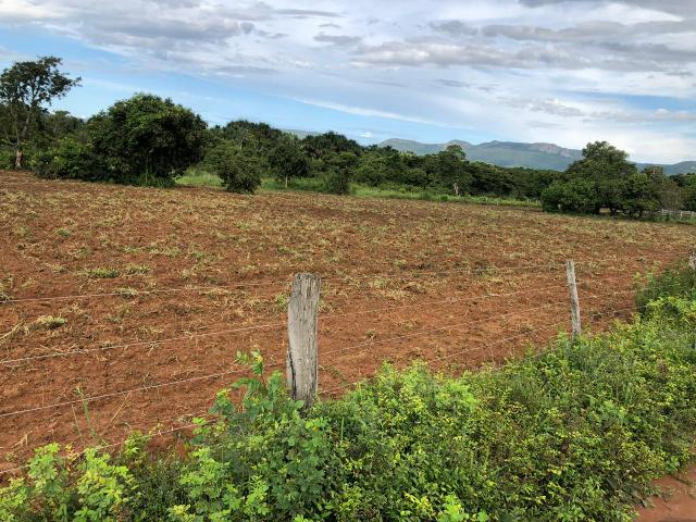 Fazenda em Rosário Oeste 1.460 hectares á venda - Foto 2