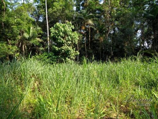Área à venda, 22967 m² por r$ 210.000 - américa de baixo - morretes/pr - Foto 18
