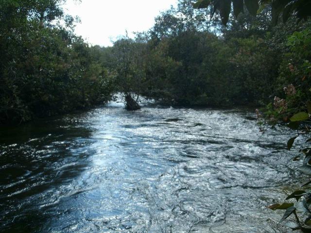 Linda Fazenda em Mato Grosso - em Conquista D´oeste - MT - Foto 9