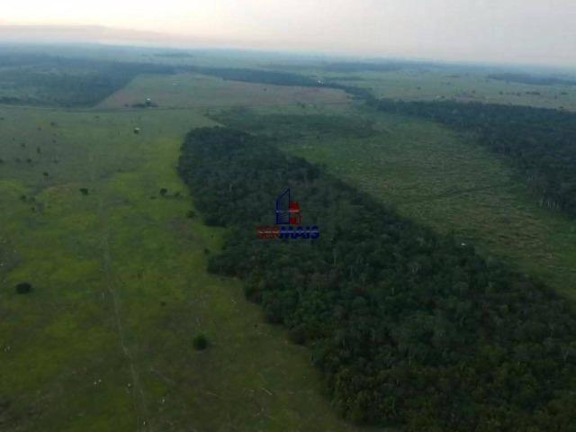 Fazenda à venda, por R$ 4.000.000 - São Francisco do Guaporé/Ro - Foto 5
