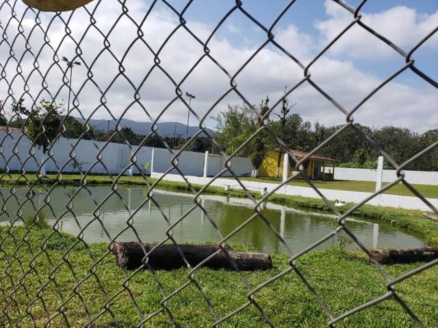 04- Alugo Chácara em Mongaguá para finais de semana e feriados - Foto 6