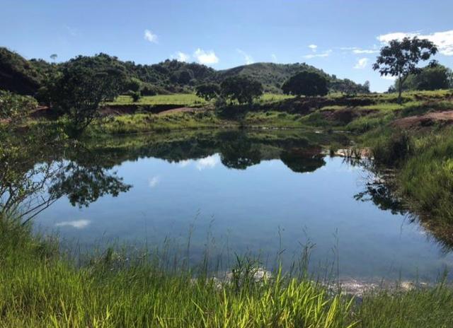Fazenda em Nova Marilândia 206 alquers - Foto 7