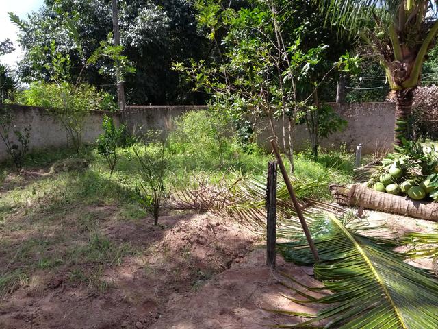 Venda - Foto 13