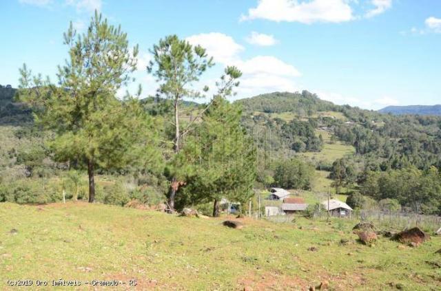 Sítio à venda, 45000 m² por r$ 897.000,00 - linha bonita - gramado/rs - Foto 10