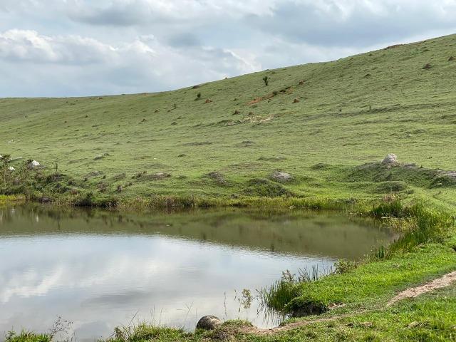 Lotes de terrenos com 5 mil metros - ideal para sua chacara,preço indiscutivel!!!