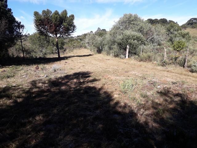 Terreno em Urupema - Foto 10