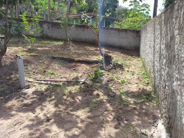 Venda - Foto 4
