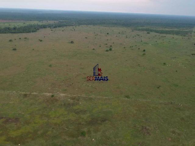 Fazenda à venda, por R$ 4.000.000 - São Francisco do Guaporé/Ro - Foto 13