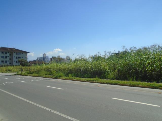 Terreno para alugar em America, Joinville cod:08039.001 - Foto 2